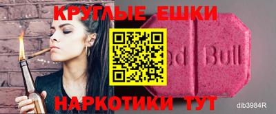 прущие грибы Усть-Джегута