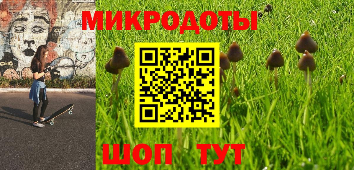 Галлюциногенные грибы Psilocybe Крымск
