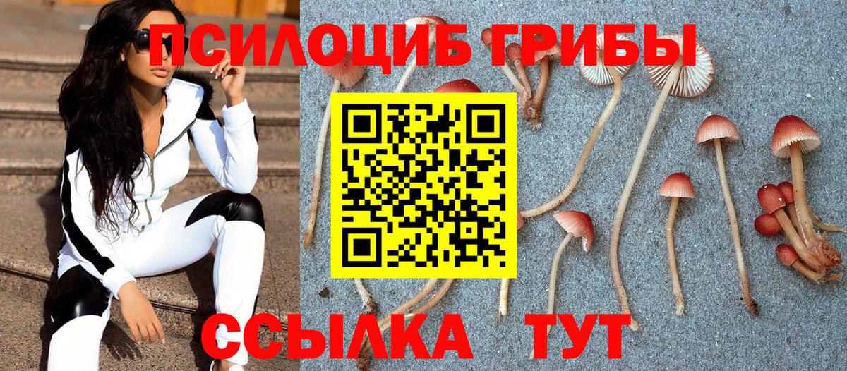 Крымск  Галлюциногенные грибы Psilocybine cubensis  Вход с VPN 